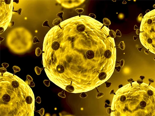 how can you catch a ditto in pokemon go