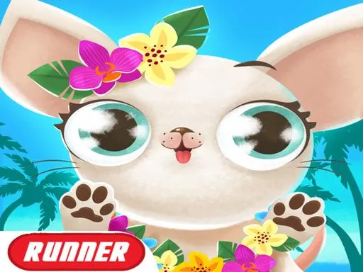 how can you catch a ditto in pokemon go