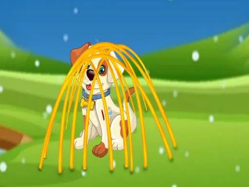 where to pokemon cards